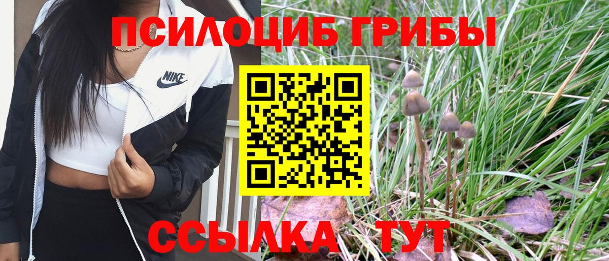 Псилоцибиновые грибы Cubensis  Вход с VPN  Псилоцибиновые грибы Psilocybe  Ростов Великий 